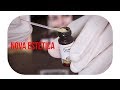 🔴Henna de sobrancelhas NOVA ESTÉTICA - Laboratório Barbe | Episódio 02