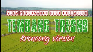 TEMBANG TRESNO - padange suryo nanging peteng nyang mripatku - kroncong version #kroncong #sjrcf22s