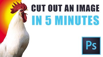 Photoshop tutorial - How to cut out the background of an image using the polygonal lasso tool.