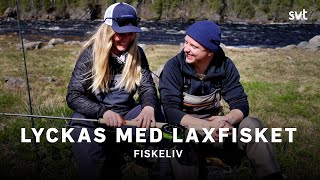Så blir du en bättre laxfiskare | Fiskeliv | SVT Hur Fiskar Man Lax