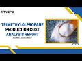 How to Start a Trimethylolpropane Production Plant: Project Cost Analysis