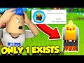 NOBODY In The World Has This RARE PET In Wizard Legends... Except For Me! (Roblox)