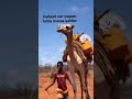 Raage Ugaas Warfaa Iyo Codkii Idaajaa 