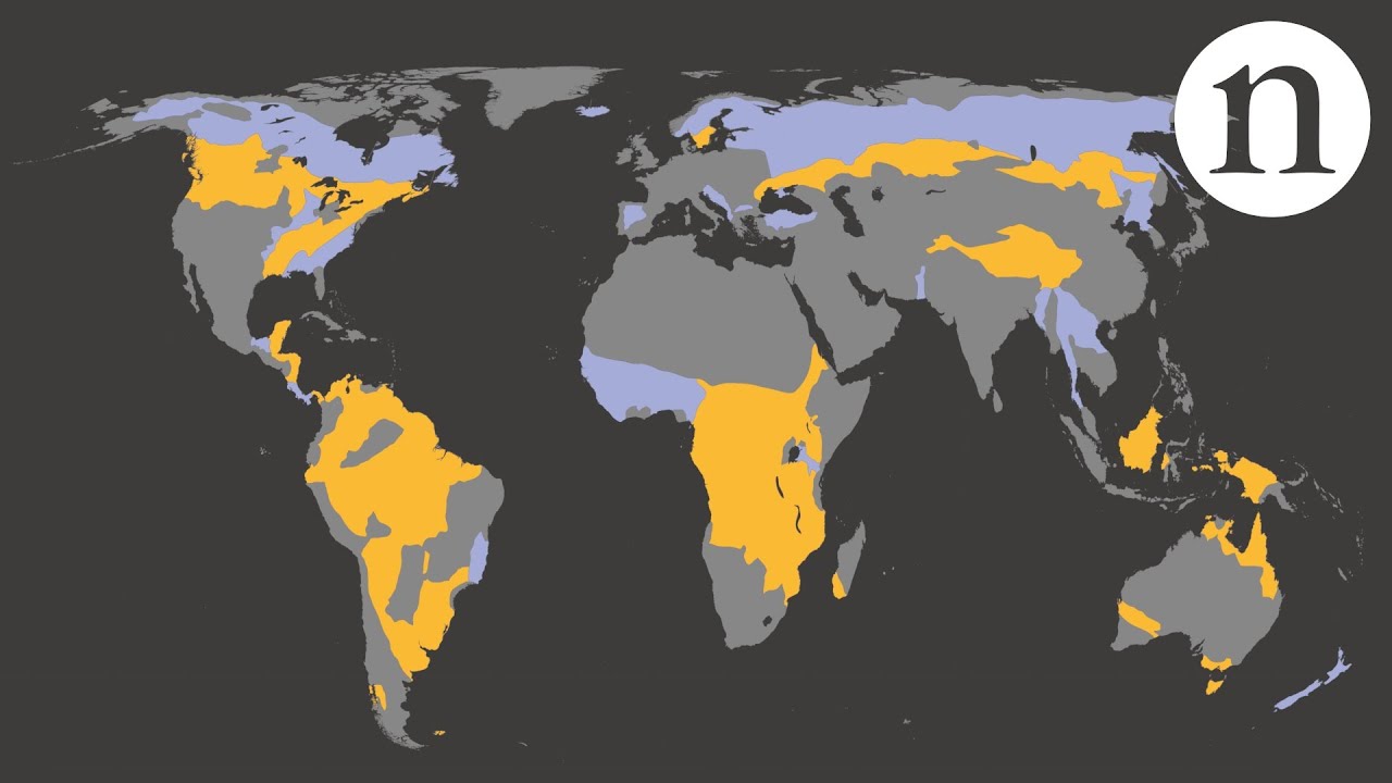 where to put the next billion people youtube