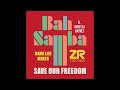 Bah samba feat vanessa haynes  save our freedom dave lee let freedom reign mix