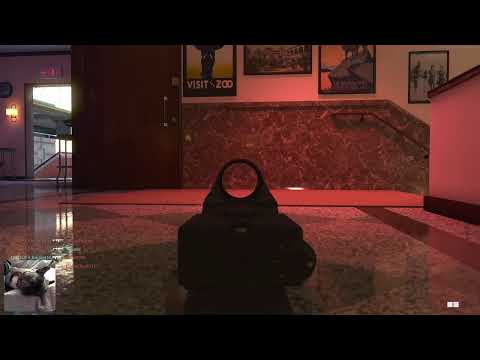 COD Cold War w/Frenchie Don Wrinkles
