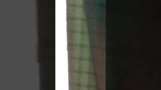 2 time needles CA gangstalker....totally normal guys, nothing to see here