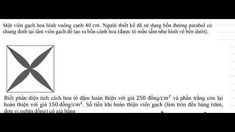 Toán 12: Một viên gạch hình vuông cạnh 40 cm . Người thiết kế đã sử dụng bốn đường Parabol