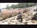 Green Day woodstock 94 mud fight/ Paper Lanterns