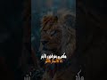٢٥ يوليو ٢٠٢٥ ٢٥ يوليو ٢٠٢٥