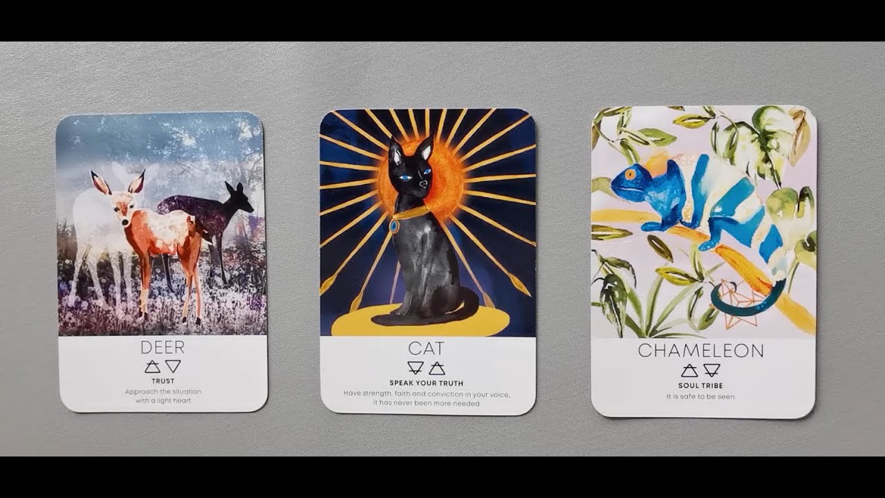 tarot: chọn tụ bài: họ cảm thấy thế nào khi bạn im lặng, không liên lạc?