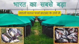 India's biggest fish farm, Fish farming in jharkhand, ranchi me machli palan, Biofloc fish farm, RFF