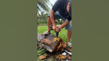 Màn review máy khoan xứng tầm thế giới