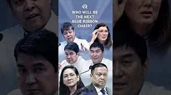 Who will be the next Senate blue ribbon committee chair?