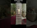 Starway Acoustic Guitar