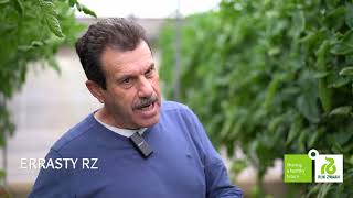 Invernadero de tomate Errasty RZ