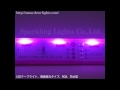 防水型LEDテープライト、側面発光タイプ、RGB(フルカラー)、屋外向け、白基板、日亜化学製LED使用