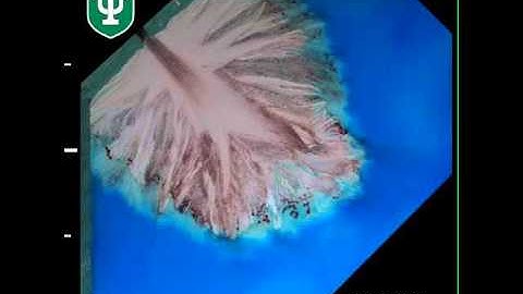 Weakly cohesive delta (TDB-13-S1) undergoing pure aggradation