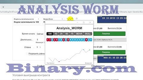 Analysis 🐛WORM🐛 Binary.com