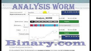 Analysis 🐛WORM🐛 Binary.com