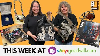 ShopGoodwill.com | Thrifted These NEW & VINTAGE Items Online