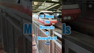 Disney World Monorails - Visual Reference Guide ✨🚝 All About The Monorails At Disney World Tips Printable Guide
