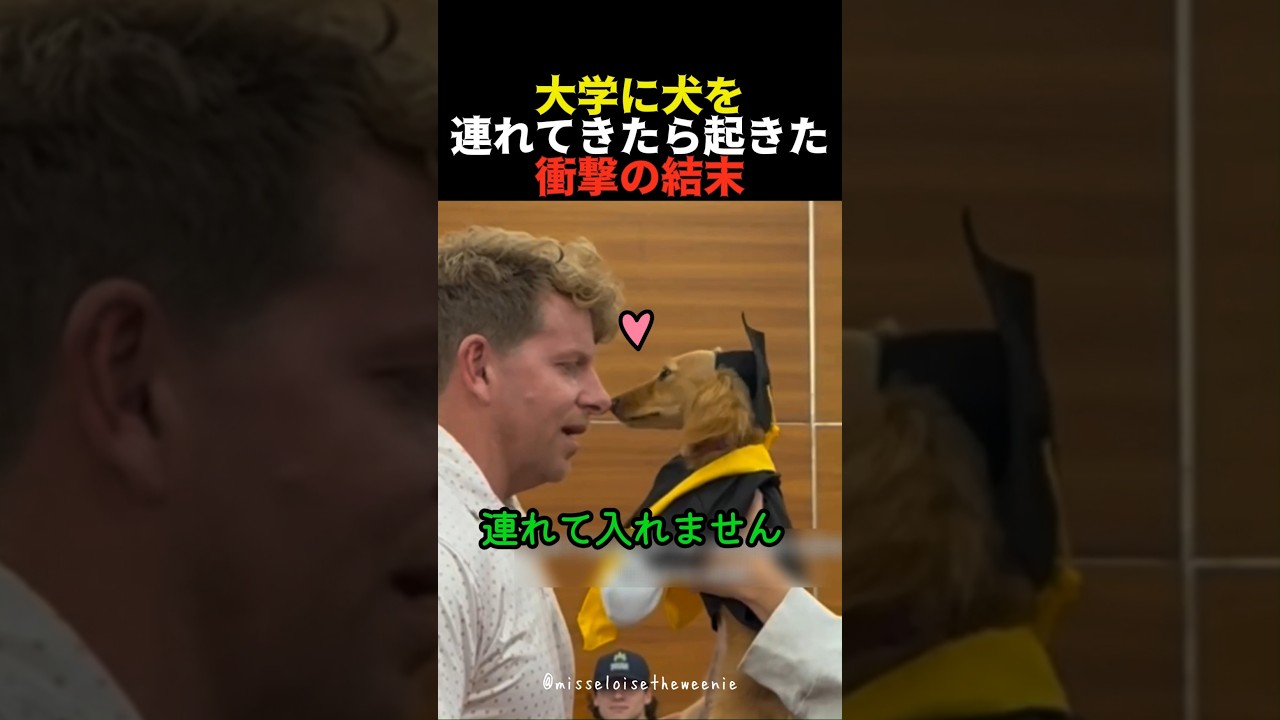 大学に犬を連れてきたら起きた衝撃の結末