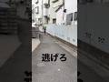 にげろにげろにげろにげろ
