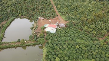 ( ĐÃ BÁN ) NHÀ VƯỜN NGUỒN THU MẠNH 3 HA CÀ PHÊ THẢ ĐỌT . AO CÁ TO GIÁ 6 TỶ NGUYÊN LÔ