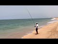 Daurade royale plage el oualidia gilthead fishing in morocco