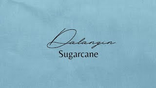 Video thumbnail of "Dalangin (lyrics) - Sugarcane"
