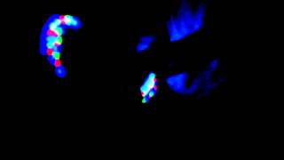 Skrillex Bangerang Hand Light Show HD
