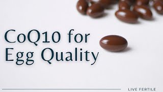 Supporting Egg Quality with CoQ10 @Theralogix