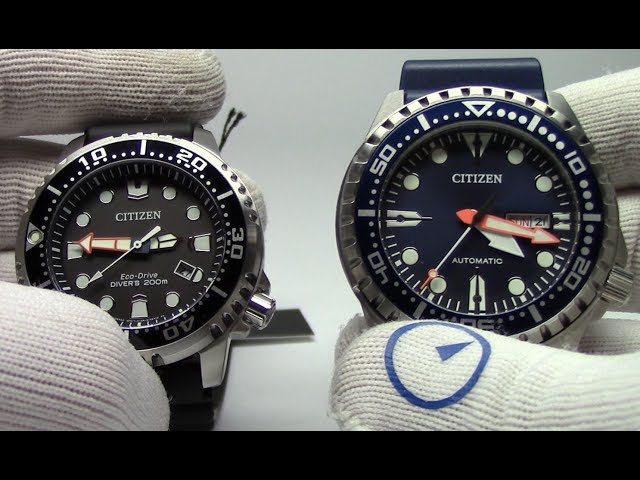 CITIZEN × BEAUTY&YOUTH Automatic Diver Citizen Diver Review - Automatic Mens Watch That Looks Great