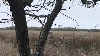 525 Currituck Way, Wendy Wilmot Properties - Bringing You The Best Of Bald Head