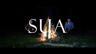 Matxinada - SUA