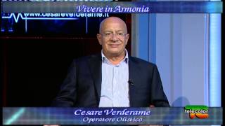 Vivere in armonia - puntata 10