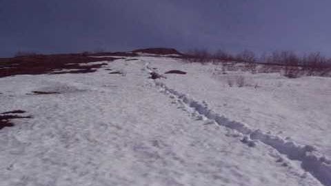 Garbage bag sledding