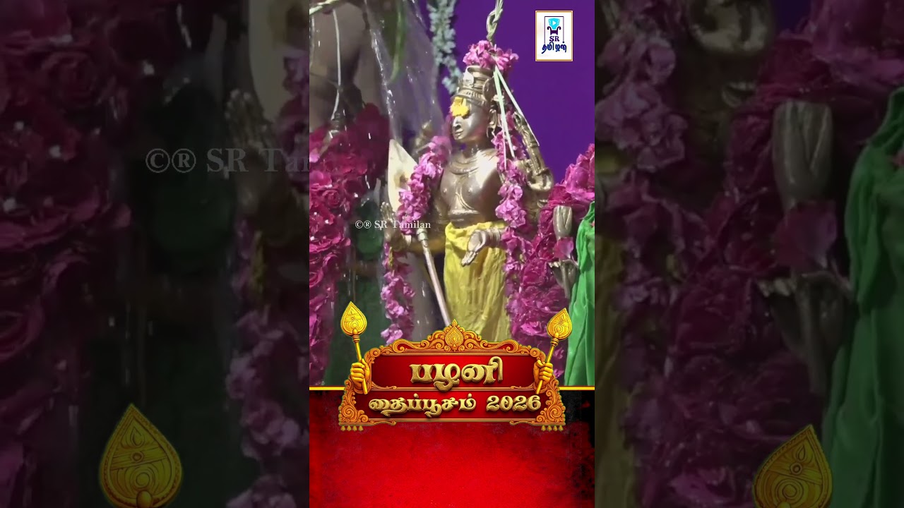 பழனி தைப்பூசம் 2026 ||  #shorts #palani #palanimurugan #shortsfeed #tamil