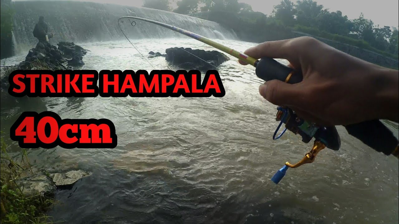 Casting hampala