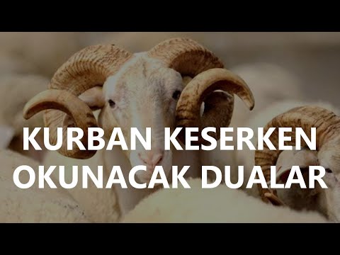 Kurban Duası   Kurban Kesiminde Sünnet Olan Dua   Kurban Kesim Duası