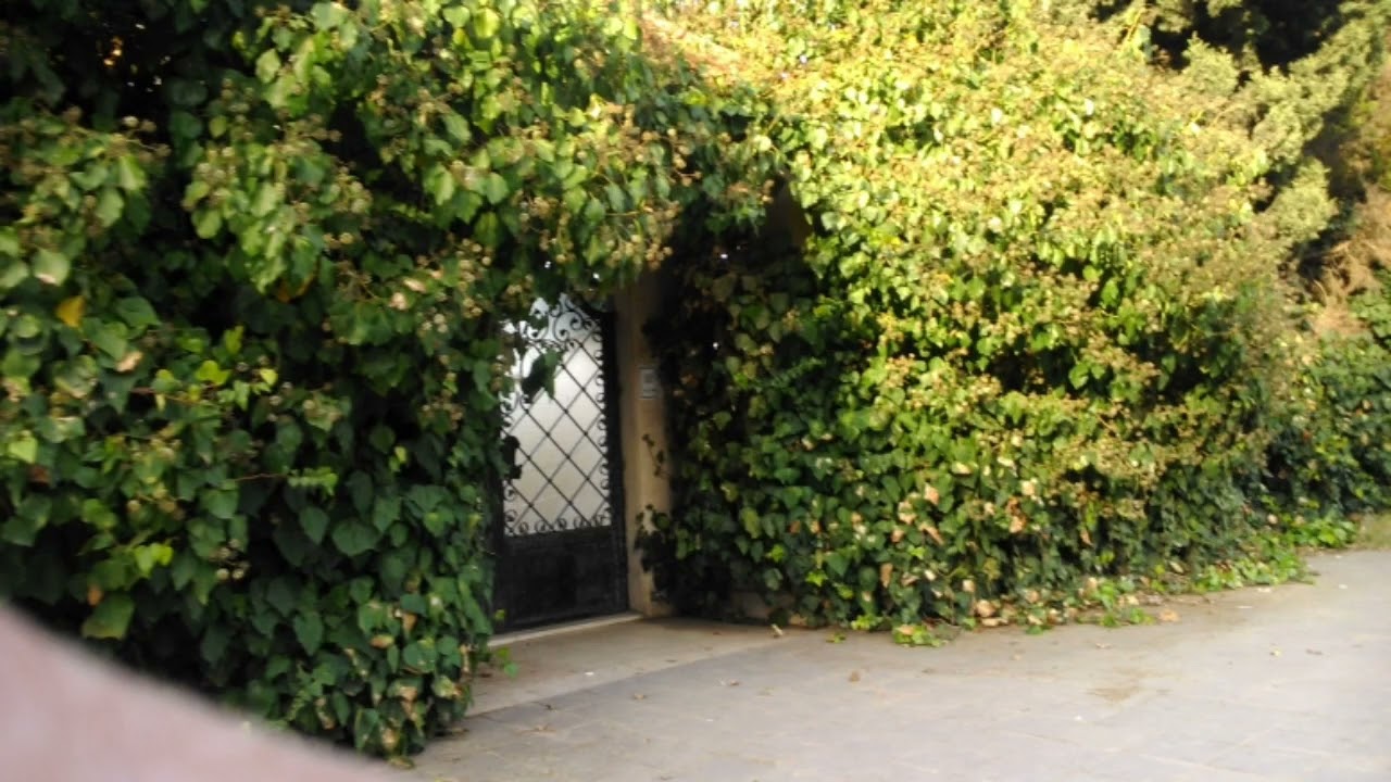 حمص العشق#مدينة #حمص