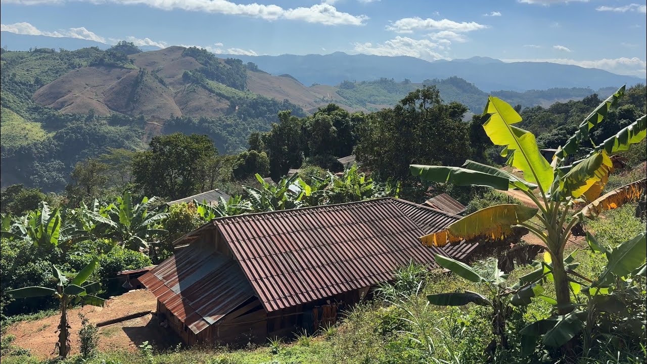 lub zos no fais fab tuaj tsis tau txog | November 15, 2025