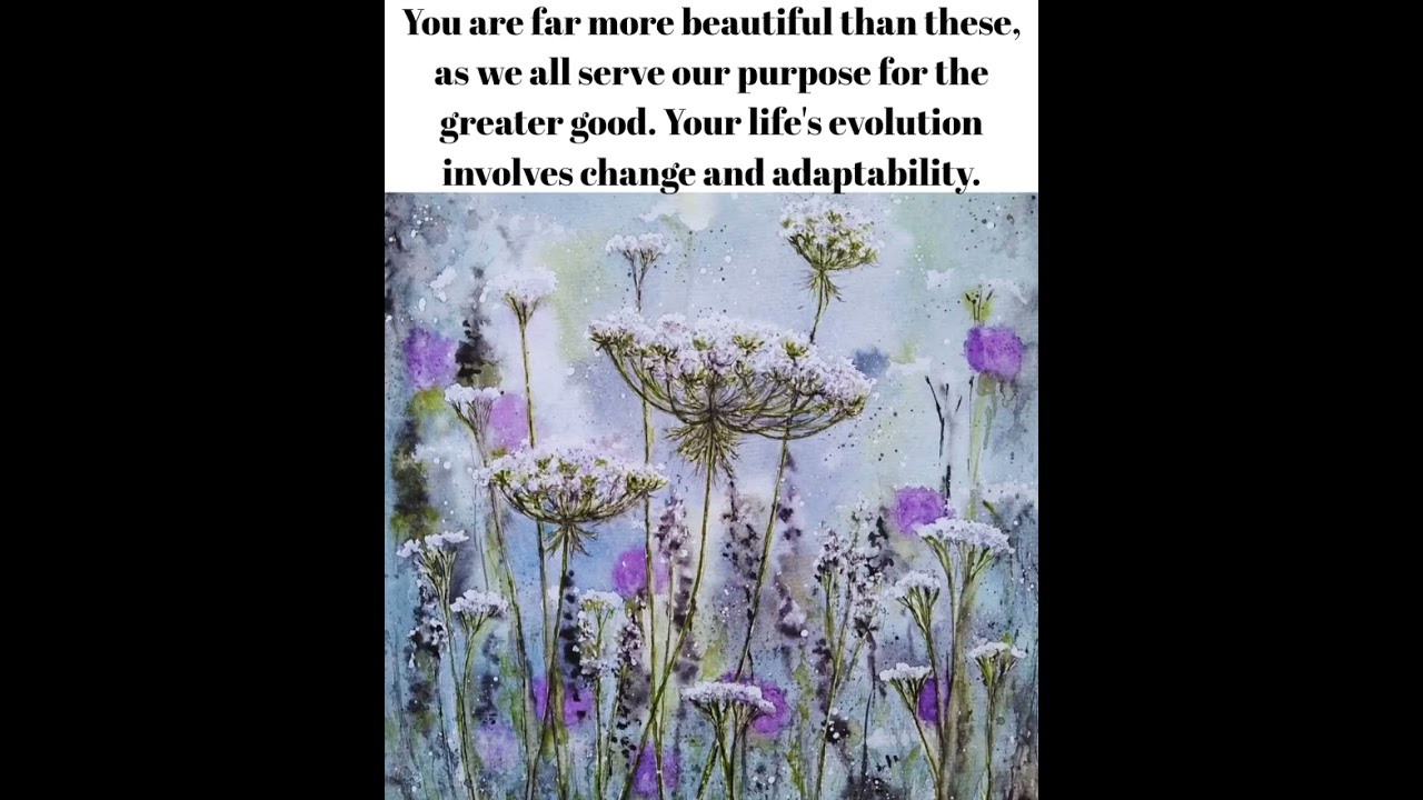 YOU ARE MORE THAN: What? Quote for Today 