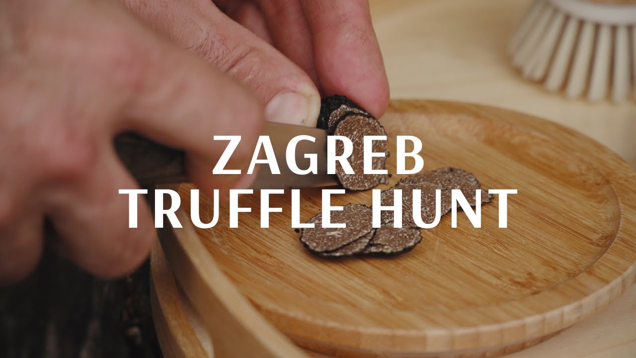 Zagreb Truffle Hunt AROUND ZAGREB YouTube
