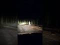 Haunted Road In Forest Horror Video Haunted Horror Spooky