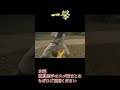 【一撃】極真空手のスゴ技まとめ【畳ぶち抜き】　Shorts