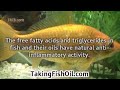3 Benefits of Fish Oil Supplements for Healthy Skin