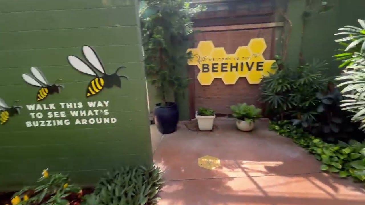 Butterfly Wonderland