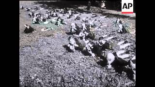 Young Italy Learns Art Of War.